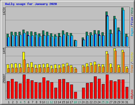 Daily usage for January 2020