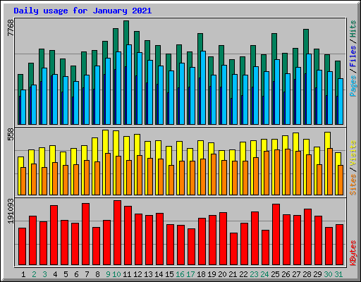 Daily usage for January 2021
