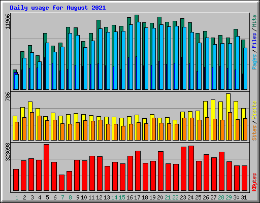 Daily usage for August 2021