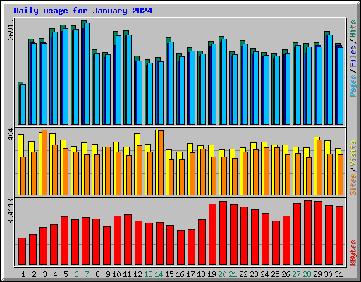 Daily usage for January 2024