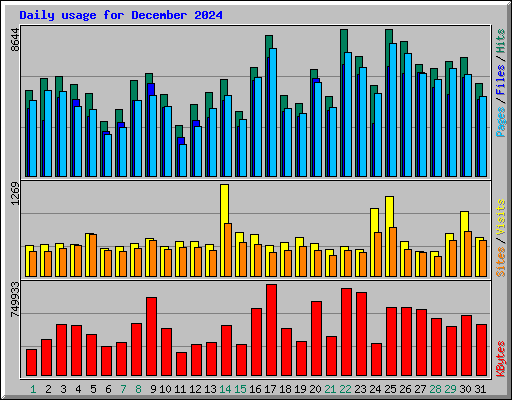 Daily usage for December 2024