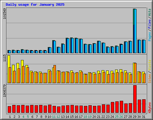 Daily usage for January 2025