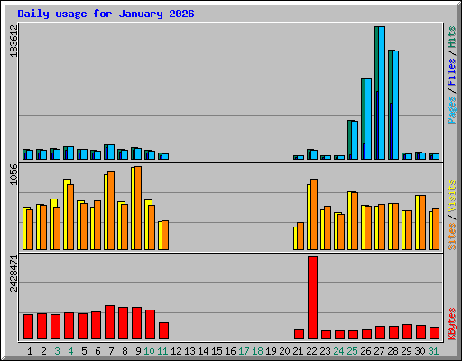 Daily usage for January 2026
