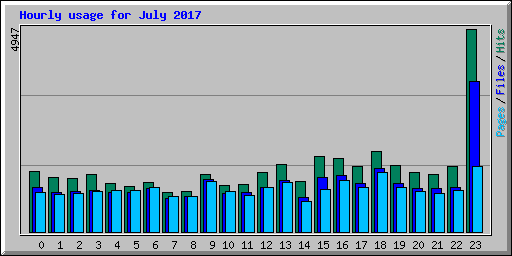 Hourly usage for July 2017