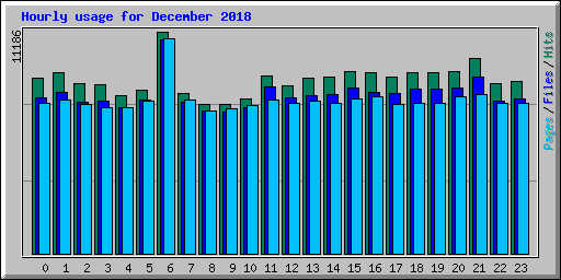 Hourly usage for December 2018