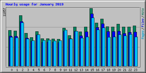 Hourly usage for January 2019