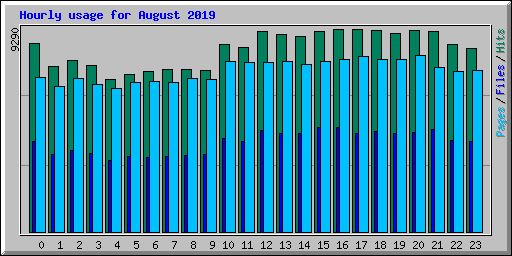 Hourly usage for August 2019