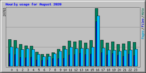 Hourly usage for August 2020