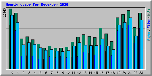 Hourly usage for December 2020