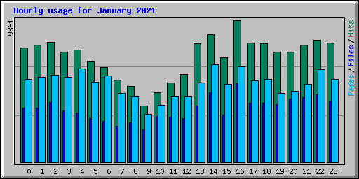 Hourly usage for January 2021