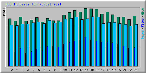 Hourly usage for August 2021