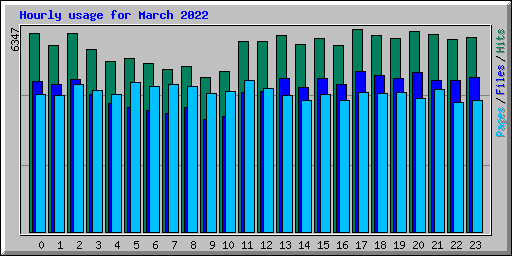 Hourly usage for March 2022