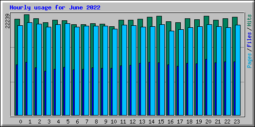 Hourly usage for June 2022