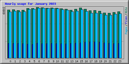 Hourly usage for January 2023