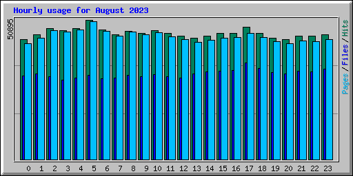 Hourly usage for August 2023