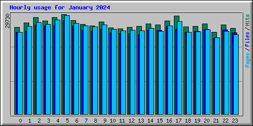 Hourly usage for January 2024