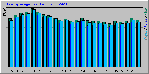 Hourly usage for February 2024