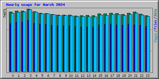 Hourly usage for March 2024