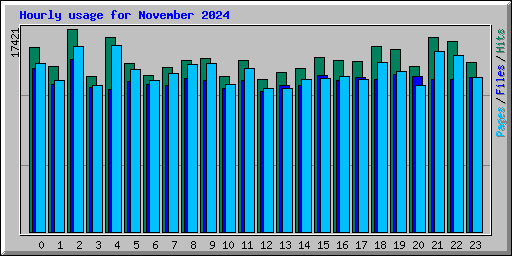 Hourly usage for November 2024