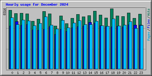Hourly usage for December 2024