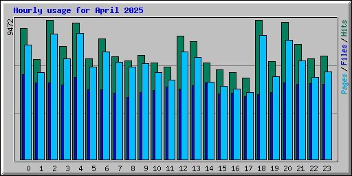 Hourly usage for April 2025