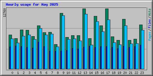 Hourly usage for May 2025