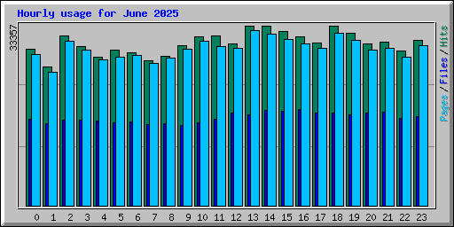 Hourly usage for June 2025
