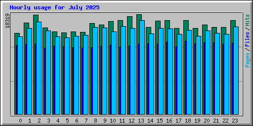 Hourly usage for July 2025