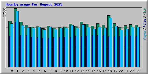 Hourly usage for August 2025