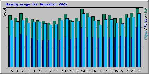 Hourly usage for November 2025