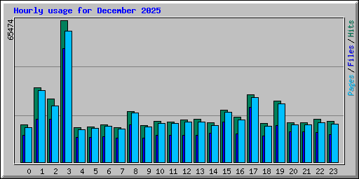 Hourly usage for December 2025