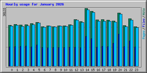 Hourly usage for January 2026