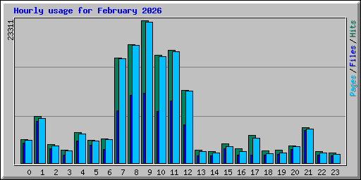 Hourly usage for February 2026