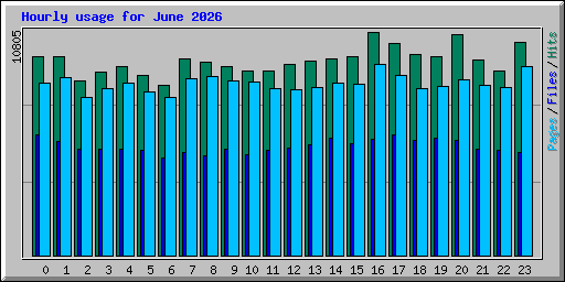 Hourly usage for June 2026
