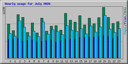 Hourly usage for July 2026