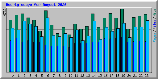 Hourly usage for August 2026